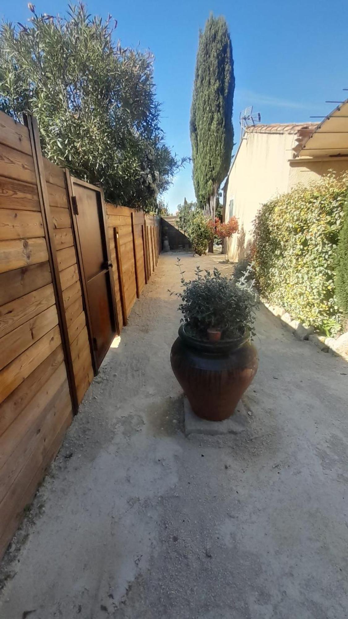 Le Mazet De Louise Apartman Saint-Rémy-de-Provence Kültér fotó